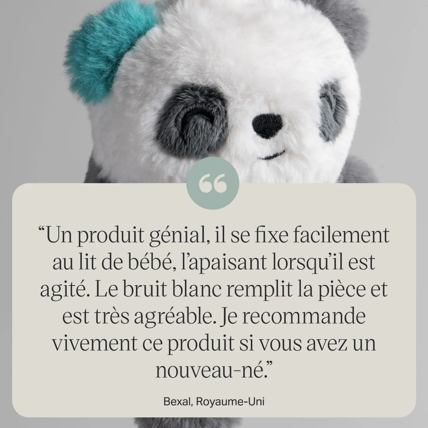 Tommee Tippee Mini peluche aide au sommeil Panda
