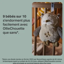 Tommee Tippee Peluche aide au sommeil Chouette