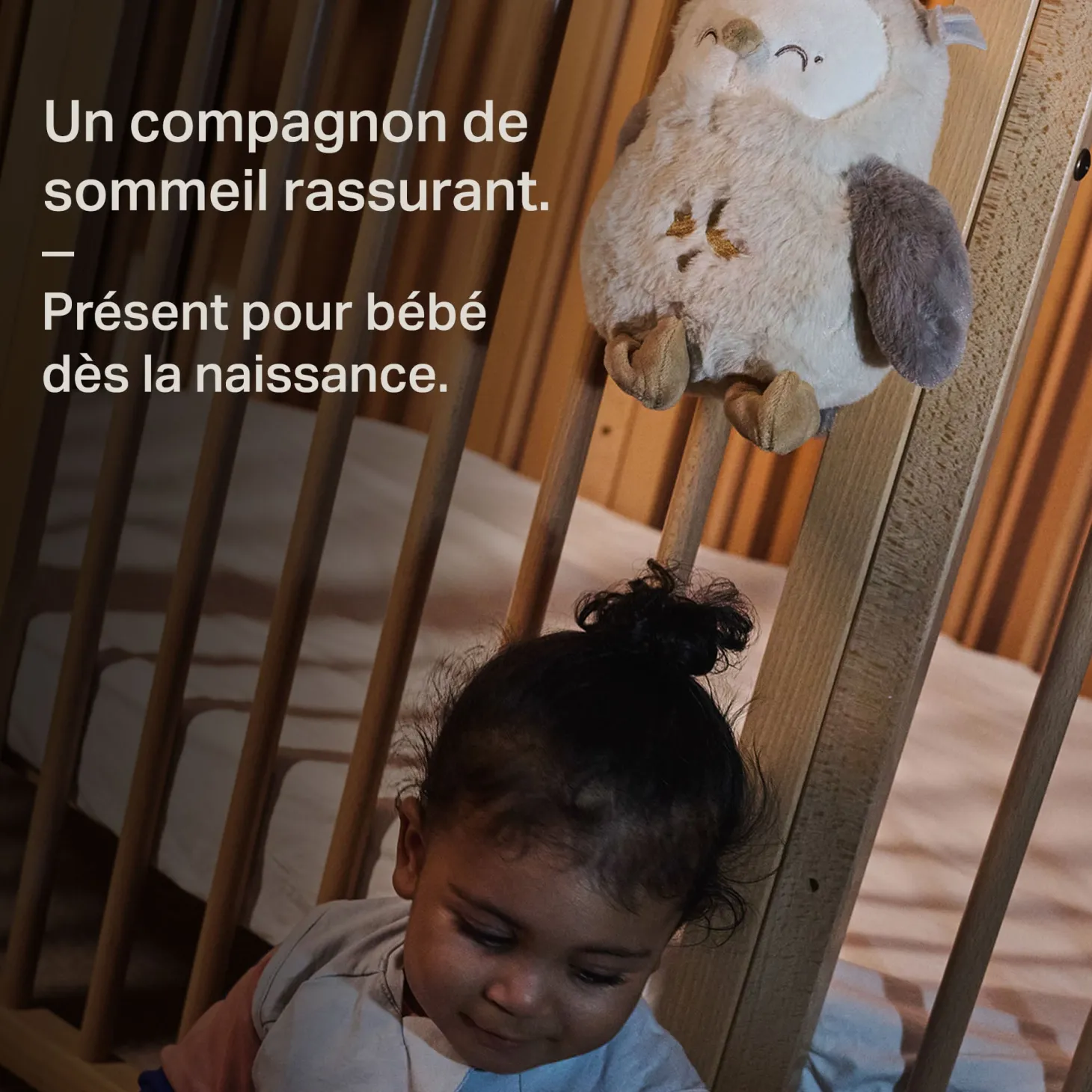 Tommee Tippee Peluche aide au sommeil Chouette