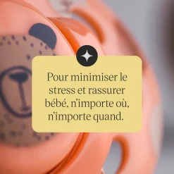 Tommee Tippee 2 sucettes Closer to Nature Fun mixte 18-36 mois