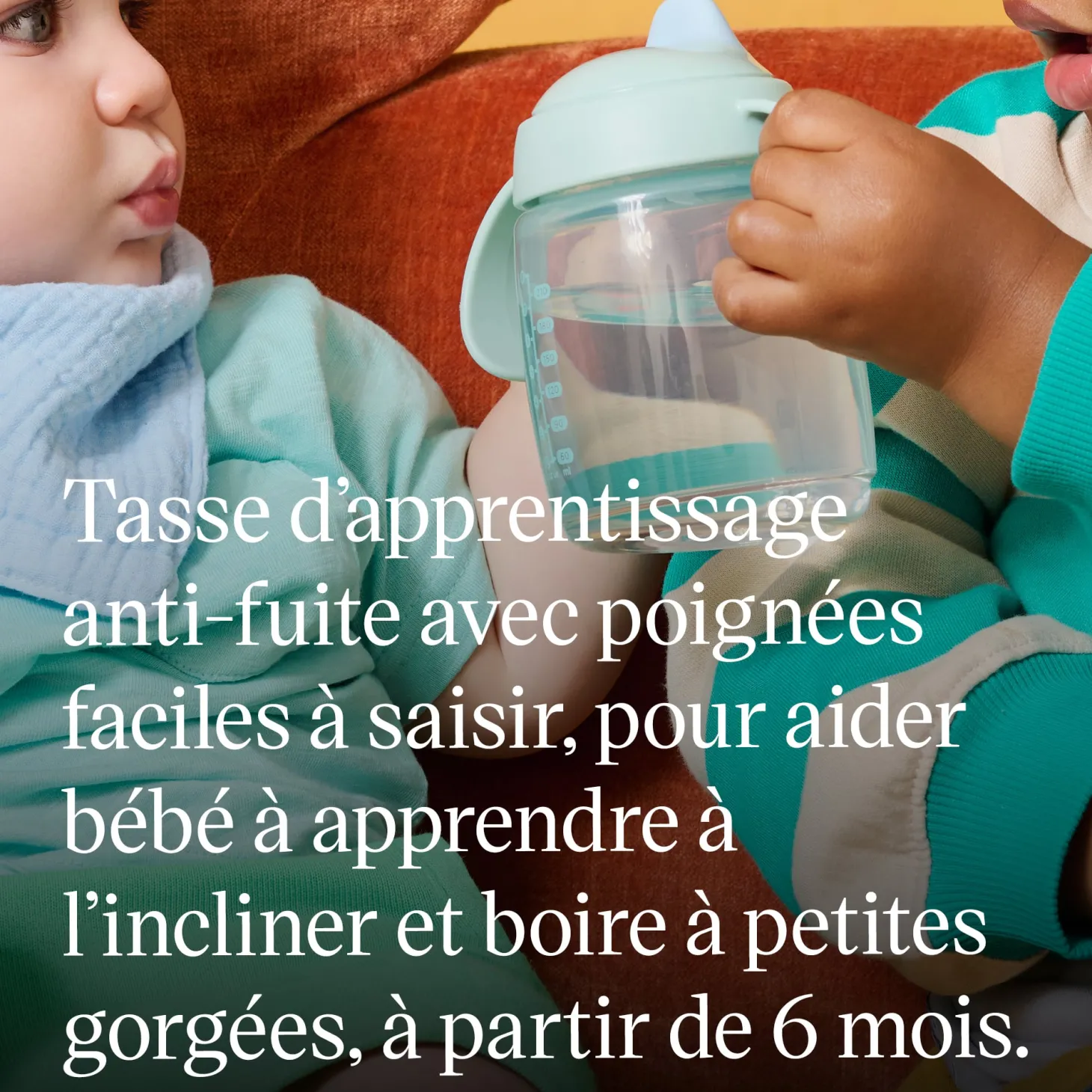 Tommee Tippee Tasse d’apprentissage à bec Vert 240 ml
