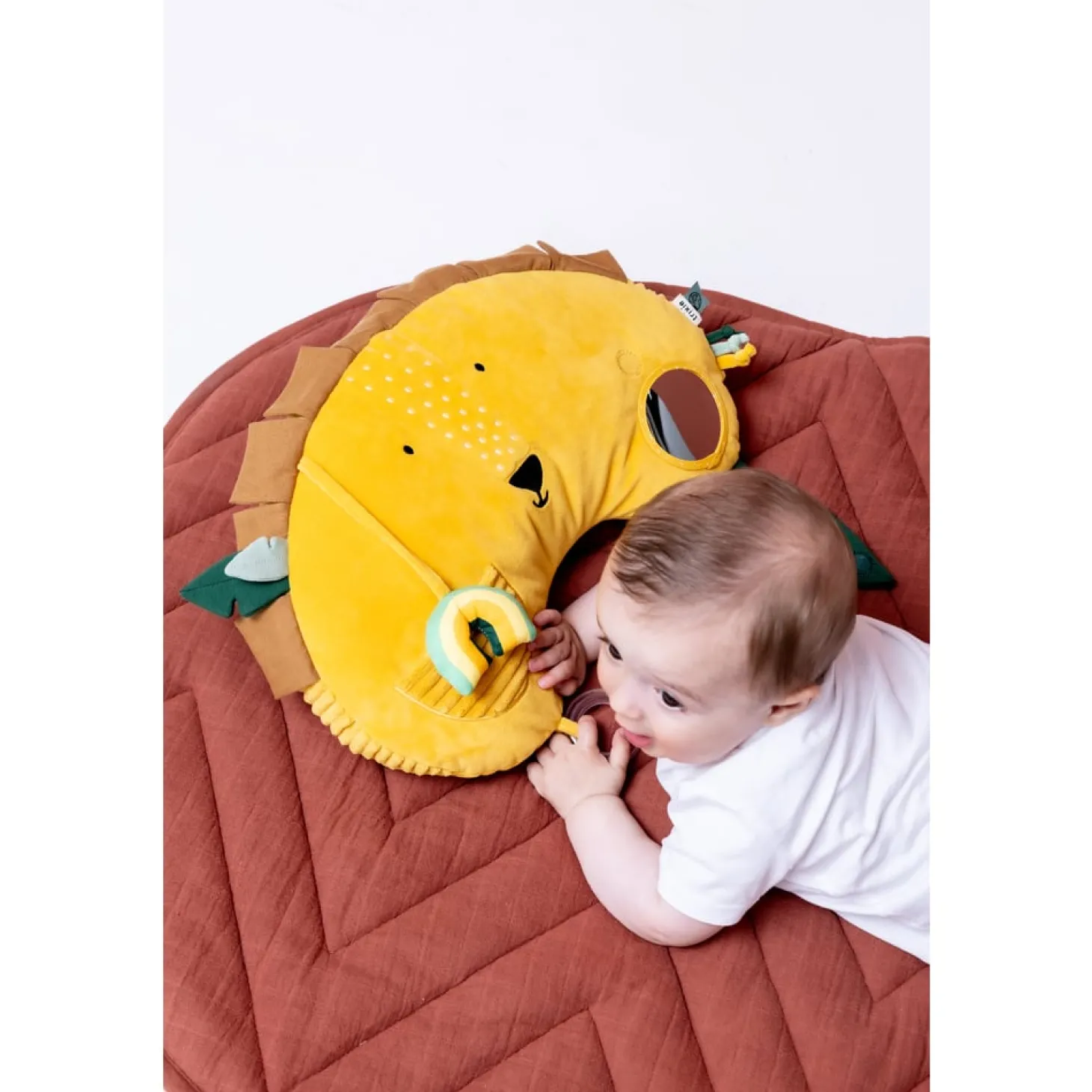 Trixie Coussin d'activités Mr. Lion