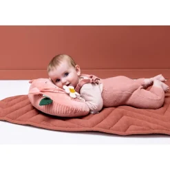 Trixie                    Coussin d'activités    Mrs. Cat