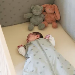 Trois Kilos Sept                    Peluche Musicale Ours Honey    Argile