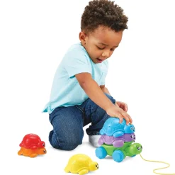 VTech Baby Famille empilo tortue Multicolore