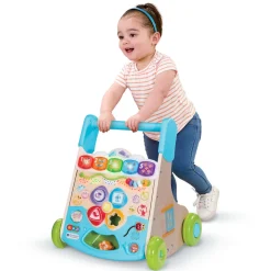 VTech Baby                    Super trotteur nature interactif    Multicolore